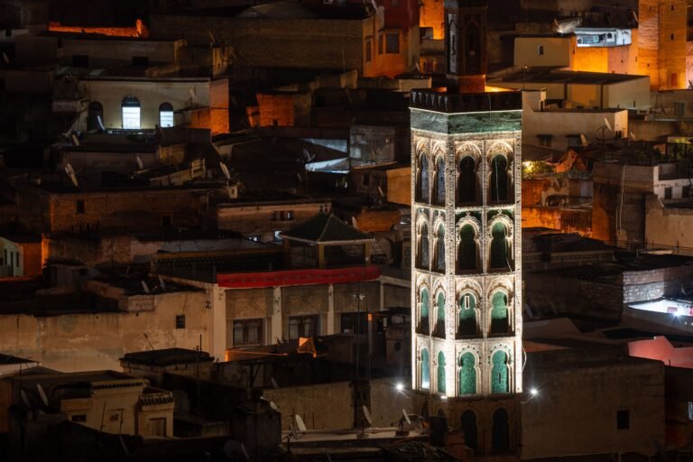 Tour illuminée de Fès la nuit