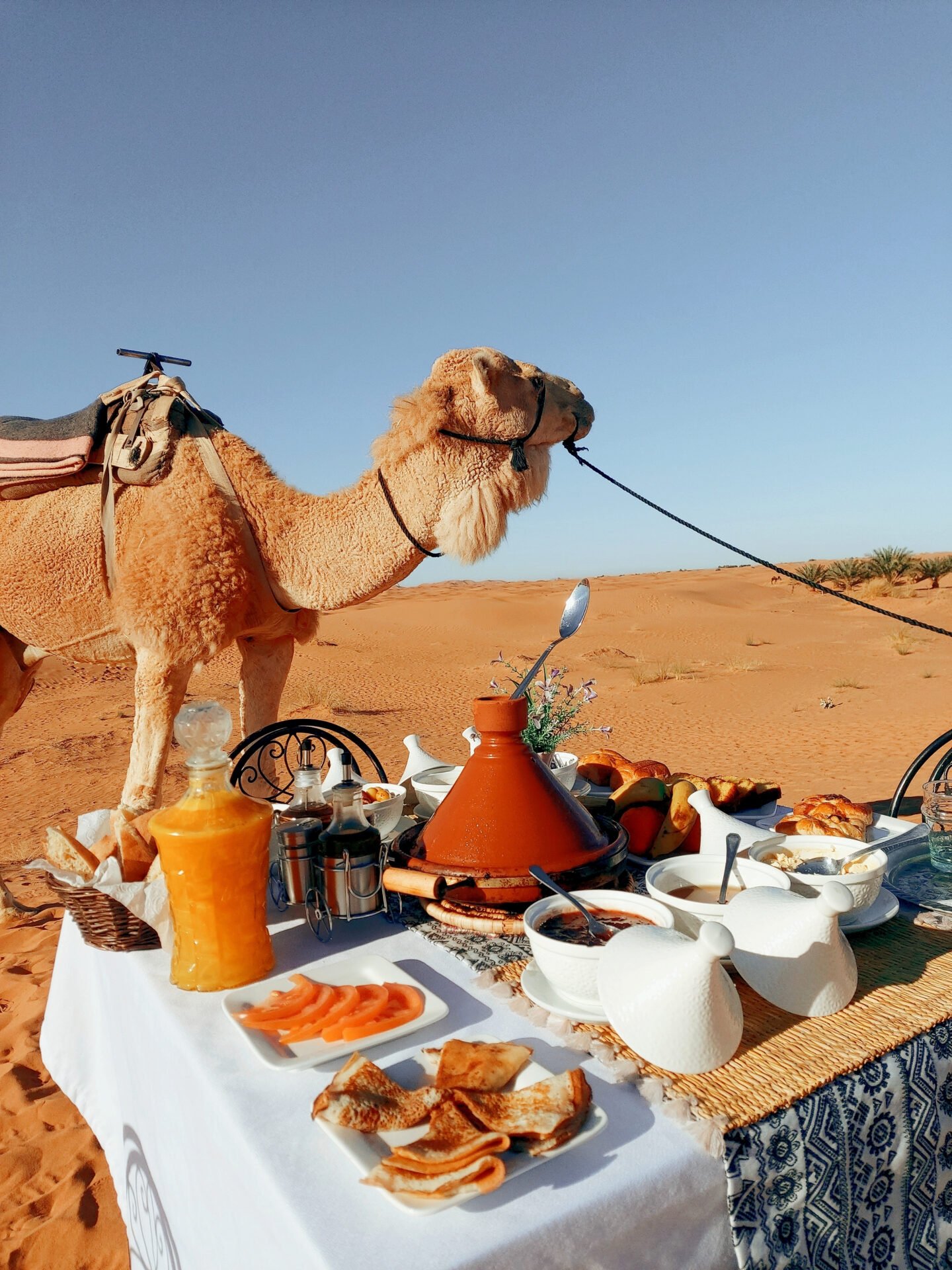 Appetizing feast in traditional arabic utensil during ramadan on background of a camel in a desert